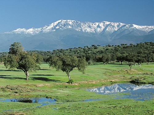 Apartamentos Rurales Los Vergeles - image 2