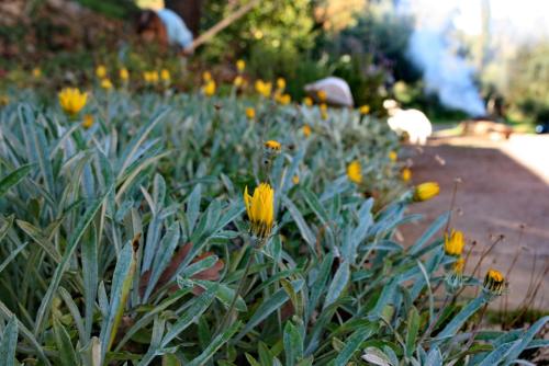 Villa Kardami -country house - image 13