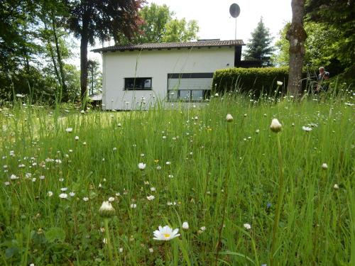 Haus am Wald - Lissendorf