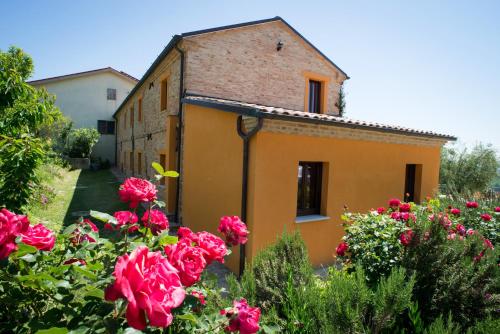 Accommodation in Scapezzano