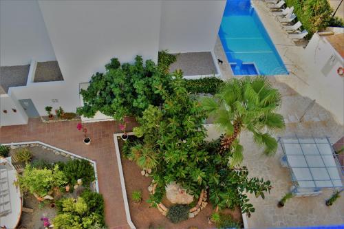 Apartamentos Sureda - image 2
