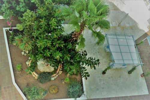 Apartamentos Sureda - image 11