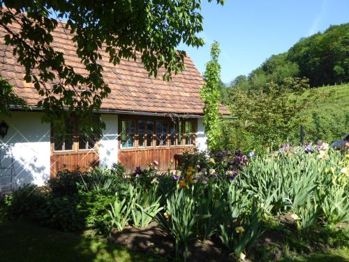  Lexsimihof - Stöckl in Wildon