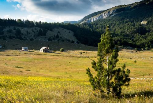 Mountain house Varda in Humilišani
