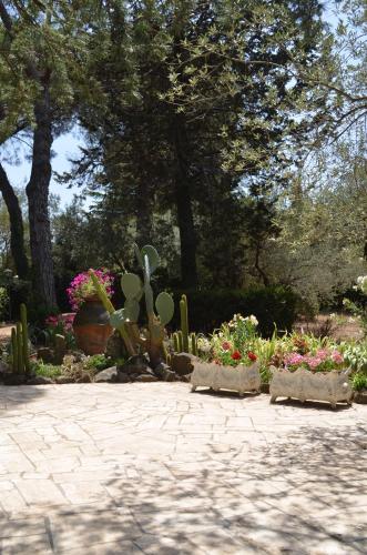 Tenuta Colle Mattia - image 13