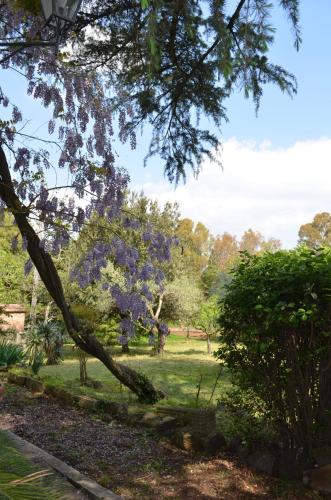 Tenuta Colle Mattia - image 8