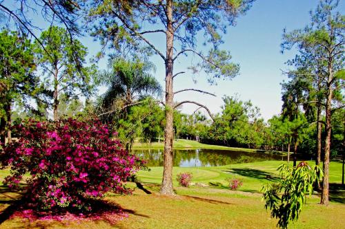 Hotel Resort e Golfe Clube dos 500