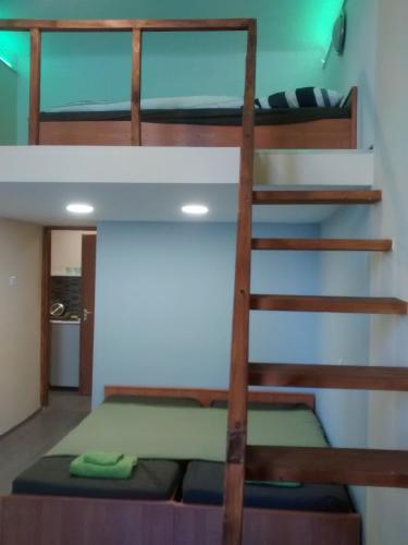 Green Panda Apartments, Budapešť (fotografie 9)