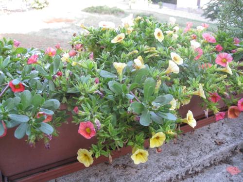 Guesthouse in Nature Setting