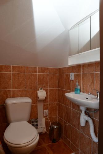 Ubytování u rybníka Bořetice - image 10