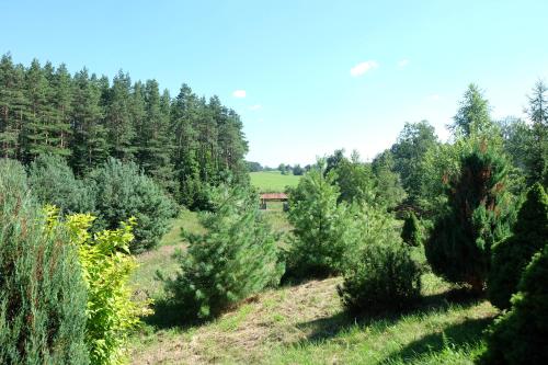 Siedlisko Mazurskie koło Mikołajek