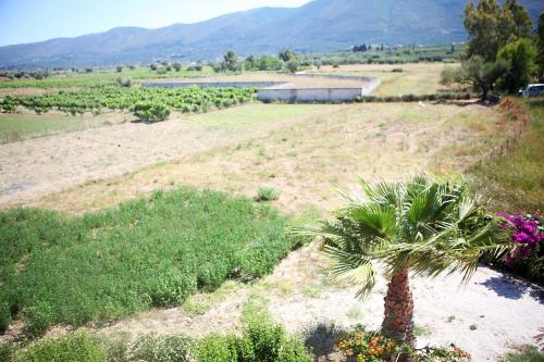 Patrinos Studios - image 13