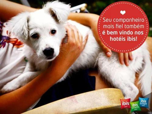 Ibis Londrina