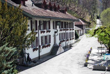 Historic Hotel Steinbock