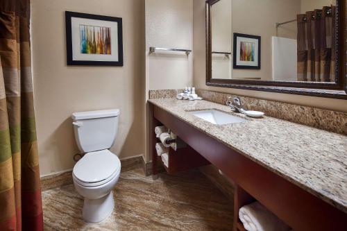 Best Western Plus Monahans Inn and Suites - image 12