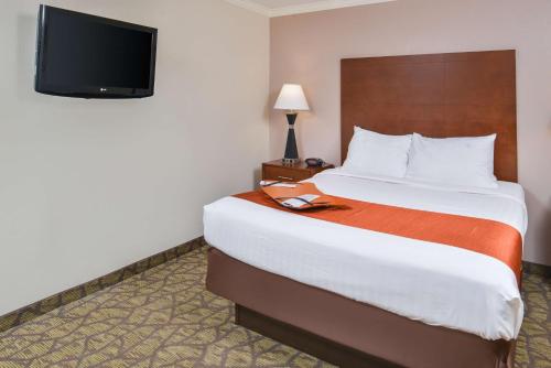 Best Western of Hartland - image 7