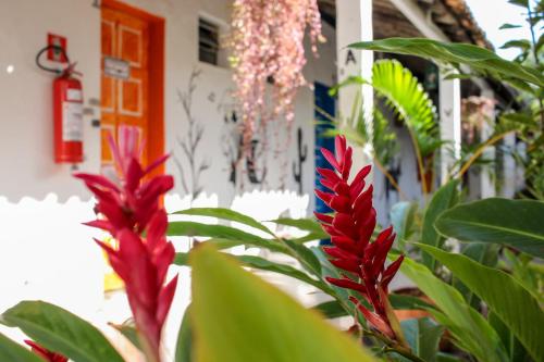 Vila Aju - Pousada Temática - image 2