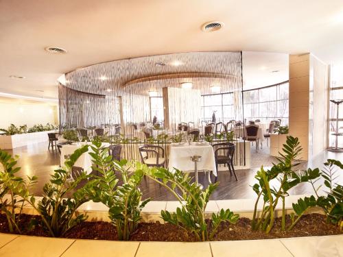 Continental Forum Arad - image 6