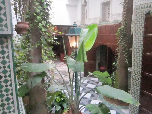 Hôtel Transatlantique, Casablanca (zdjęcie 10)