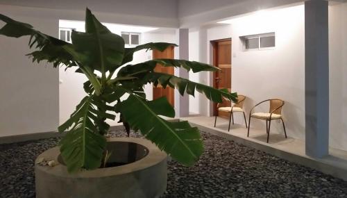 Iekārtas, Casa Patio in Vila Da Ribeira Brava