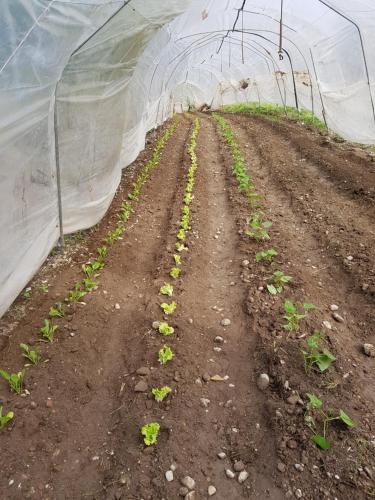 Agriturismo San Francesco