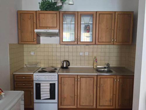 ห้องครัว, Apartment Lilly Olomouc in โนวา อูลิเช