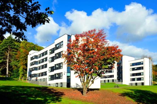 Entrada, Juniper Court in Stirling