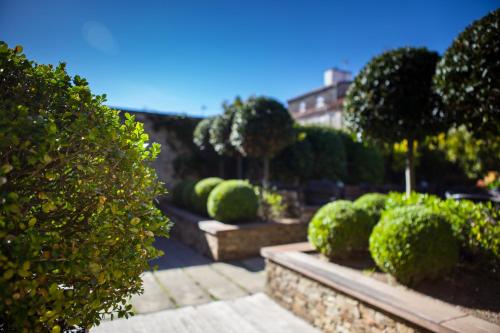 Hotel San Miguel - image 8