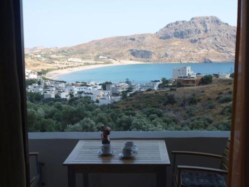 Surrounding environment, Olive Grove in Foinikas