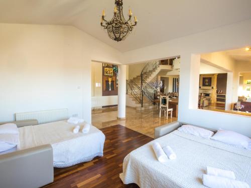 Sunshine Luxury House - image 5