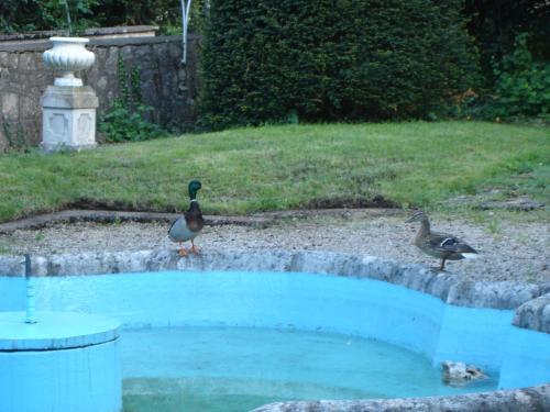 Hotel de France in Monbeljaras