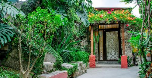 Hotel Casa Antigua by AHS - image 5