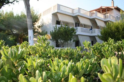 Posidonia Pension