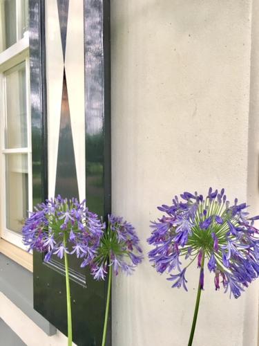 Erve de Bakker Landgoedappartementen
