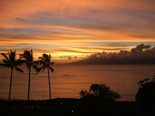 Oceanview Condo at Royal Kahana Resort - image 9