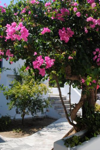 Apollonia Hotel - image 11