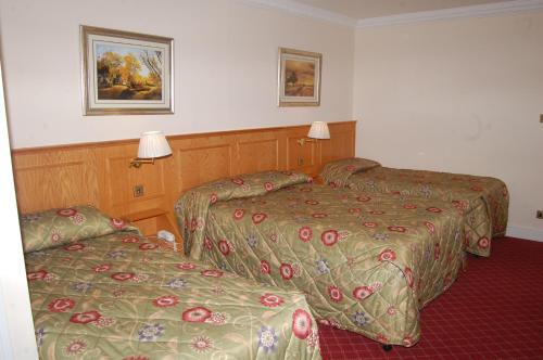 Viking Hotel – London