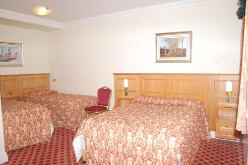 Viking Hotel - image 8
