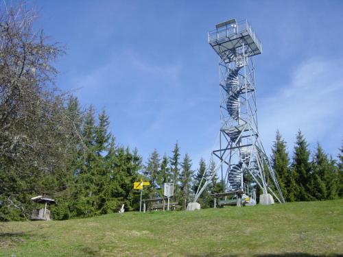 Chalet Sunneschyn - main image