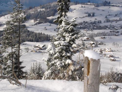 Chalet Sunneschyn - image 12