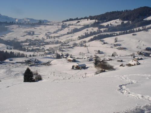 Chalet Sunneschyn - image 9