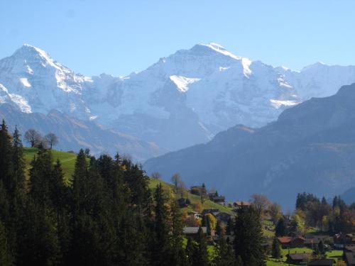 Chalet Sunneschyn - image 7