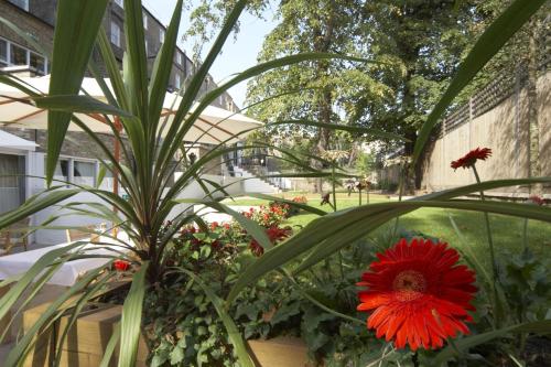 ザ パーク シティ グランド プラザ ケンジントン ホテル