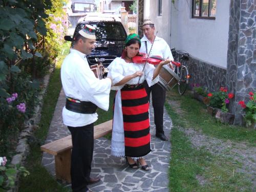 Pension Casa Muntean - image 8