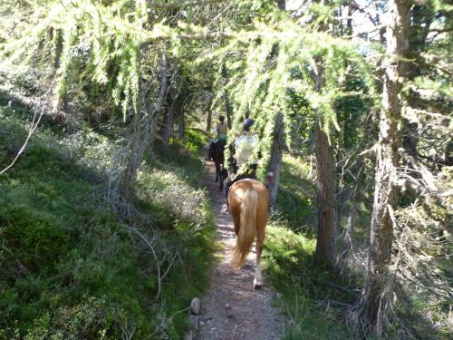 雪绒花雷特霍夫旅馆
