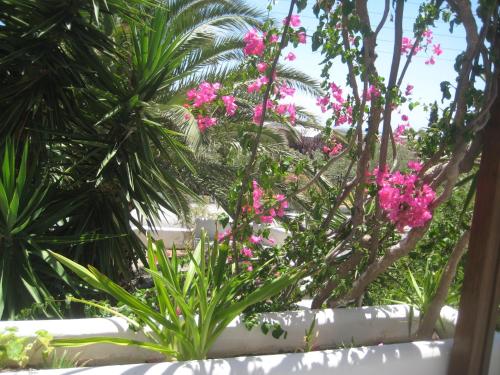 Pasoi Apartments - image 7