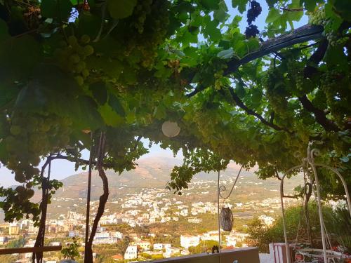 Dimora del Conte Sorrento coast seaview – Vico Equense, CO