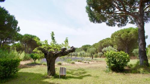 Campagne les Jumeaux – Ramatuelle, ID