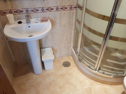 Fan Flat Rosaleda - image 2