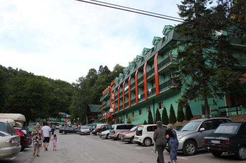 Apkārtne, Guesthouse Edelnice in Gornja Trepca